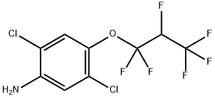 2,5-二氯-4-（1,1,2,3,3,3-六氟丙氧基）苯胺